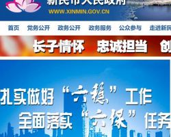 新民市营商环境建设局