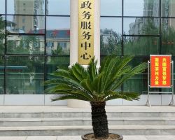 博兴县政务服务中心