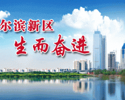 哈尔滨市行政服务中心默认相册
