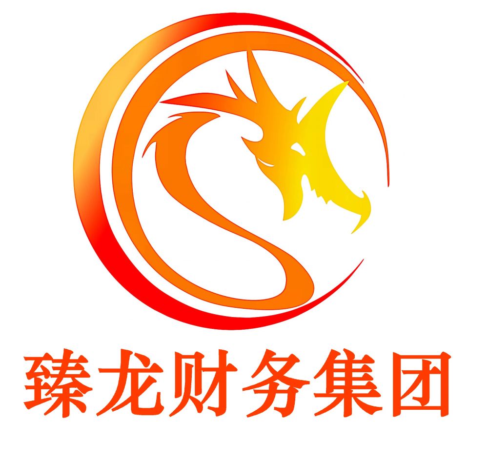 臻龙财务集团(运营部经理)