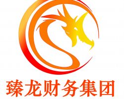 武汉臻龙财务管理有限公司