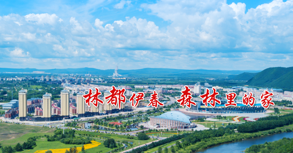 伊春市伊美区卫生健康局