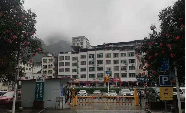 天峨县政务服务中心