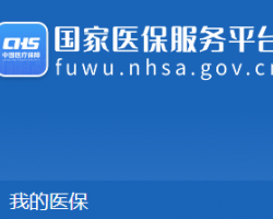 国家医保服务平台入口默认相册