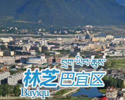 林芝市巴宜区卫生健康委员会"