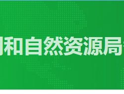 广州市规划和自然资源局番禺区分局