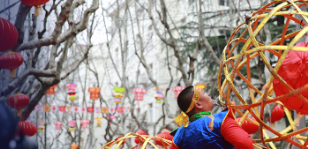 上海市奉贤区柘林镇人民政府