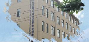 上海市闵行区莘庄镇人民政府