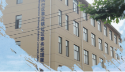 上海市闵行区莘庄镇人民政府