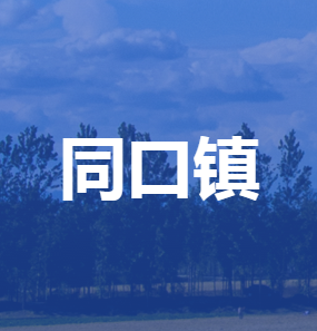 安新县同口镇人民政府