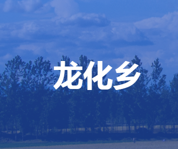 安新县龙化乡人民政府