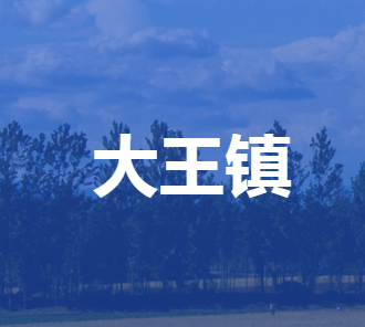 安新县大王镇人民政府