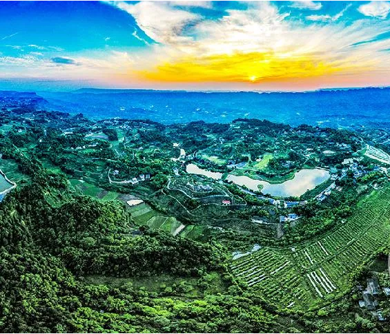 重庆市巴南区花溪街道办事处