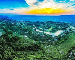 重庆市巴南区莲花街道办事处