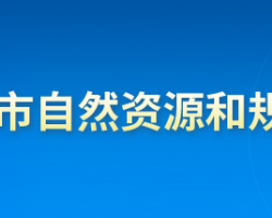 承德市自然资源和规划局