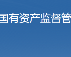 石家庄市人民政府国有资产