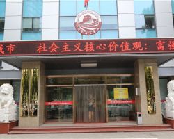 张家口市桥东区行政审批局
