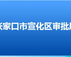 张家口市宣化区行政审批局