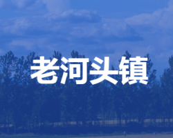 安新县老河头镇人民政府