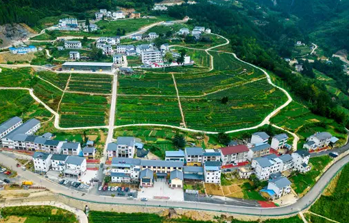 巫溪县乌龙乡人民政府