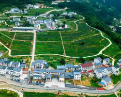 巫溪县兰英乡人民政府