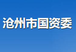 沧州市人民政府国有资产监