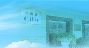 审计大师软件_审计软件开发_审计大师软件视频课件