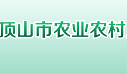 平顶山市农业农村局