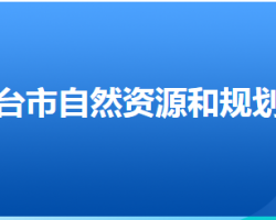 邢台市自然资源和规划局