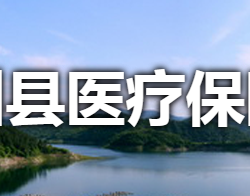 淅川县医疗保障局