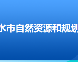 衡水市自然资源和规划局