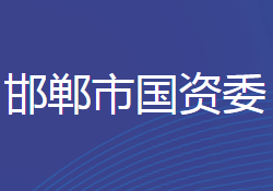 邯郸市人民政府国有资产监