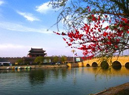 商丘市睢阳区人力资源和社会保障局