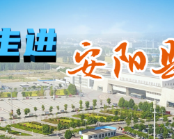 安阳县政务服务和大数据管