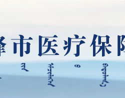 赤峰市医疗保障局网上办事大厅