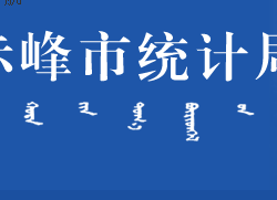 赤峰市统计局网上办事大厅