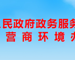 天津市人民政府政务服务办