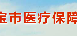 灵宝市医疗保障局