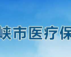 三门峡市医疗保障局"