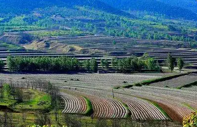 平泉市林业和草原局