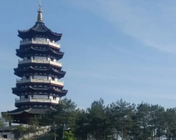 南阳市卧龙区审计局
