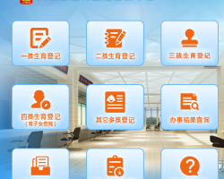 河南省生育登记服务平台办事入口