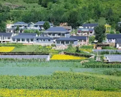 隆化县太平庄满族乡人民政府默认相册