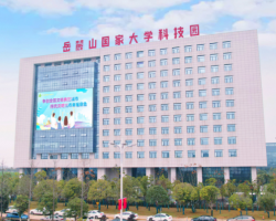 湖南省岳麓山大学科技城管委会政务服务网