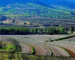 平泉市林业和草原局