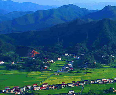 桃江县住房和城乡建设局