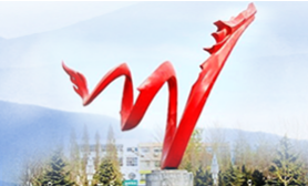 濮阳市华龙区人民政府办公室