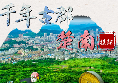 桂阳县卫生健康局