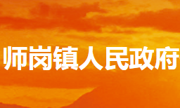 内乡县师岗镇人民政府