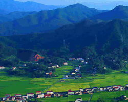 桃江县住房和城乡建设局